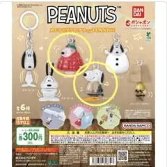 PEANUTS めじるしアクセサリー FUNNY ver. 2個セット