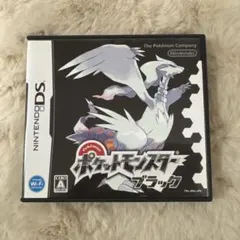 【動作確認済】【外箱付き】ポケットモンスター ブラック