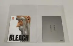 BLEACH 巻頭絵ステッカーコレクション 58巻 山本元柳斎重國