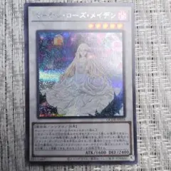 2026年最新】ガーデン・ローズ・メイデンの人気アイテム - メルカリ