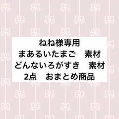 ねね様　専用　2点おまとめ買い