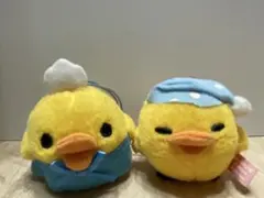 キイロイトリ　マスコット