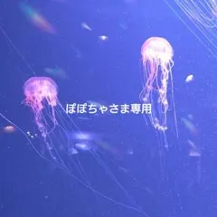 ぽぽちゃさま専用