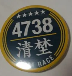 (非売品)競艇 バッチ 4738のサムネイル