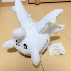 新品 未開封 ポケモン オールスターコレクションぬいぐるみ(サニーゴ