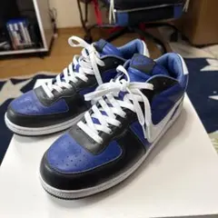 2026年最新】NIKE ZOOM TERMINATORの人気アイテム - メルカリ