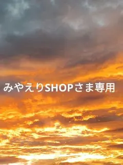 みやえりSHOPさま専用　おまとめセット