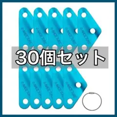 Item thumbnail for item 09aa0706-7d81-4279-9550-e2c272a2c9f1