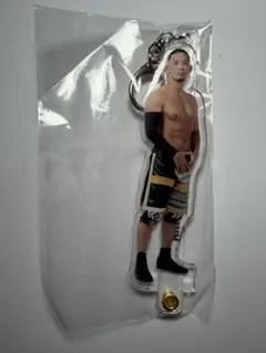 Item thumbnail for item 40f4e209-c86f-41ca-8c49-2fc0ebf44a3f