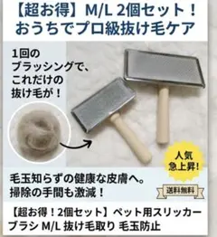 Item thumbnail for item 24675b4b-38c1-496b-868f-273996513047