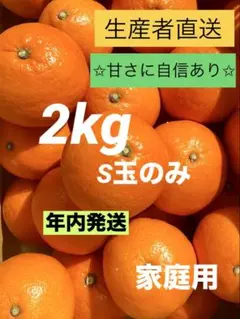 ③【小玉】愛媛県産　紅マドンナ同品種　愛果28号　まどんな