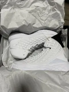 コービー3 プロトロ