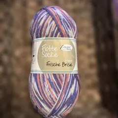 ⭐︎1863 Flotte Socke. 海外ソックヤーン　中細