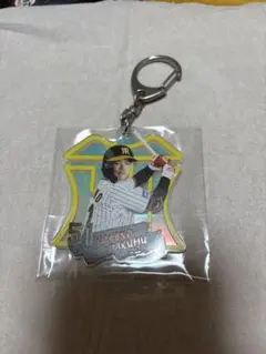 Item thumbnail for item 3ae4d48a-c754-4e9c-a38a-767571a7e0ed