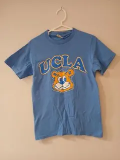 THE ANIMALS OBSERVATORY 】Tシャツ TAO 8y - メルカリ