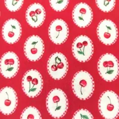 ☆ Timeless Treasures ミニはぎれ　レア生地 ☆