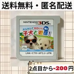 ソフトのみ オシャレでかわいい 子犬と遊ぼ! -海編- 3DSソフト 匿名配送