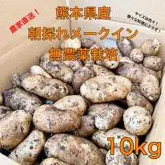 熊本県産 メークイン 10kg 無農薬栽培　新じゃが 熊本県産 メークイン 10kg 無農薬栽培 新じゃが - メルカリ