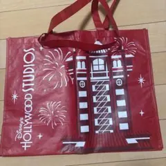 海外ディズニーパーク限定　エコバッグ　ショッピングバッグ　大サイズ