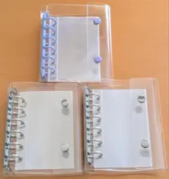 Item thumbnail for item c099b8c7-40b3-4977-8fb0-4eead66c08c6