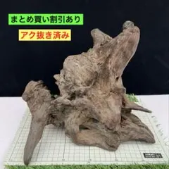 2026年最新】#スマトラブランチウッドの人気アイテム - メルカリ