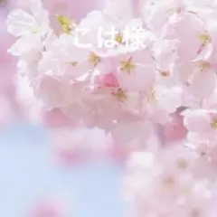 こは様