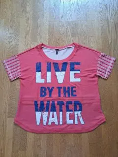 Item thumbnail for item f05eca15-c3ff-4a6a-a13e-cdaf921fbbba