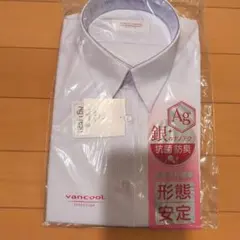 Item thumbnail for item 57d4097e-f235-4144-87a1-170c29da8d56