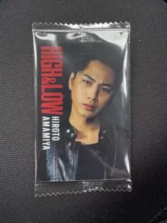 HiGH&LOW ハイアンドロー ウエハース 雨宮広斗 登坂広臣
