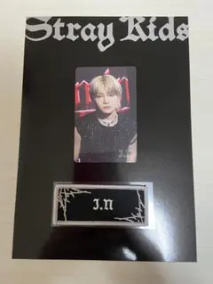 straykids スキズ アプグレ トレカ ワッペン アイエン