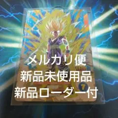 SDV5-076 孫悟飯少年期