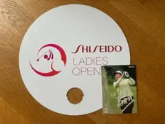 Item thumbnail for item b7f24191-ea10-49c2-95f3-fda7dfccc8df