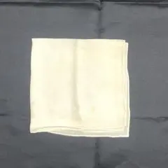 Item thumbnail for item a21c31c0-8b07-4753-99ce-159e124b99b2