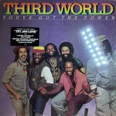 THIRD WORLD You've Got The Power LPシュリンク
