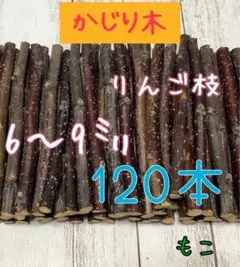 Item thumbnail for item a8d7be2a-2afa-4027-ae45-001b13e25dc4