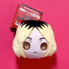 ハイキュー!! ぴんぐるみvol.2