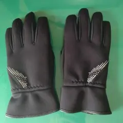 Item thumbnail for item 7649e85a-191f-4990-aca3-27e6493363c5