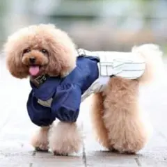 Item thumbnail for item c8895266-21dd-4aac-8a38-552fb0542349