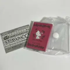 サンリオキャラクターズ　プロフィール帳　チャーミーキティ