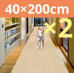 Item thumbnail for item 40c3342e-55e5-4da1-af8f-d49dda06addc