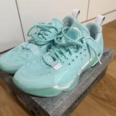 Wade all city13ミントバスケシューズ【箱あり】