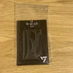 BE THE SUN JAPAN ボカチ フォトカードホルダー