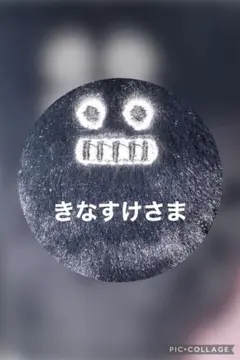 ★きなすけさま★★★