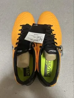 Item thumbnail for item 2328ec69-15dd-4da0-aa94-8fc72aea51d3