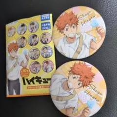 ハイキュー!!日向翔陽　カンパレより道缶バッジ２個