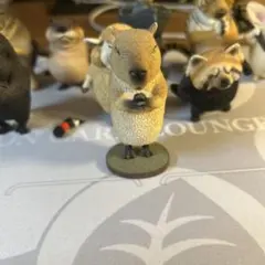 2025年最新】朝隈俊男 wishの人気アイテム - メルカリ