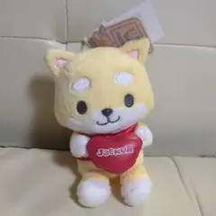 最終値下げ JOCHUM まめちぃ ぬいぐるみ - メルカリ