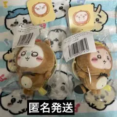 ちいかわたぬきだもんくじ　古本屋　モモンガ