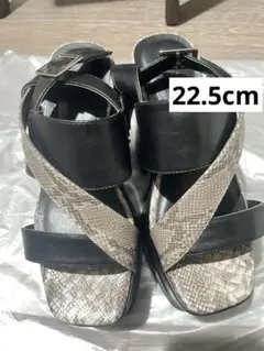 Item thumbnail for item d17cabc2-fdbe-4de1-88b7-c490ed734ba7