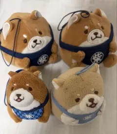 忠犬ももちしば ぬいぐるみ 4点セット